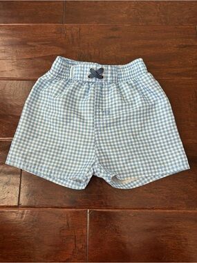 Rugged Butts Blue Gingham Swim Trunks